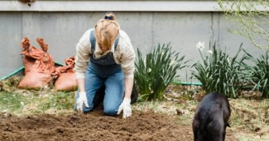 Companion Planting for a Thriving Garden